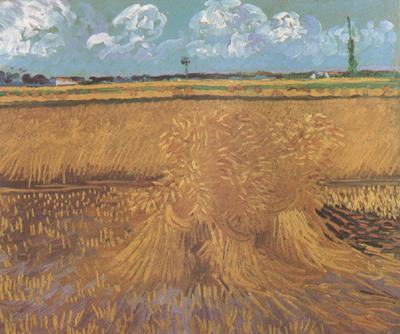 Vincent Van Gogh Wheat Field with Sheaves (nn04) oil painting image